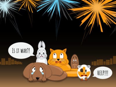 Pet friendly fireworks