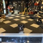 Love Fireworks inside shop with Poppy boxer dog at counter!