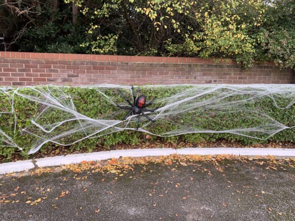 Light Up spider on web